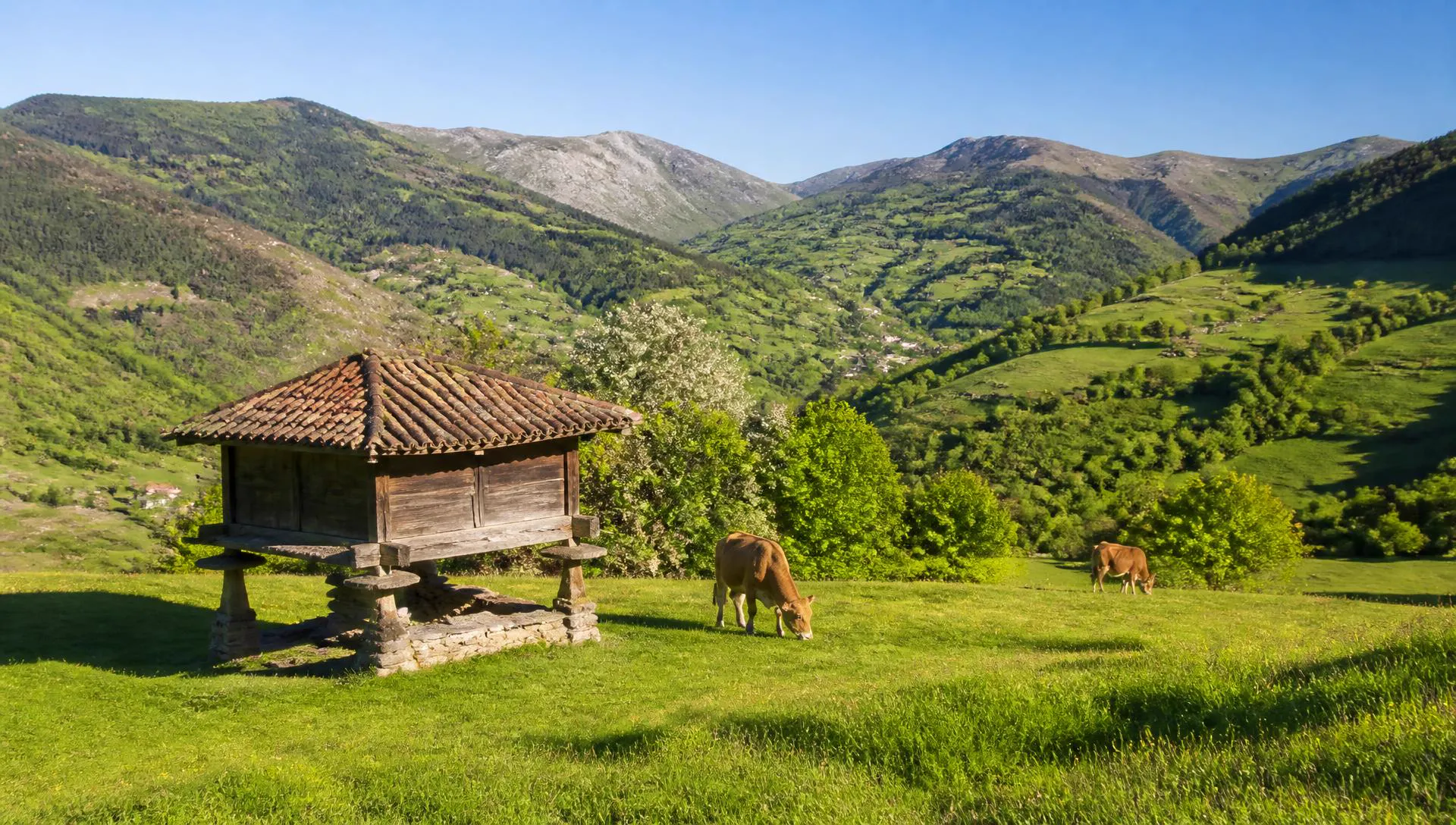 Productos frescos del campo asturiano en el Mercado Circular
